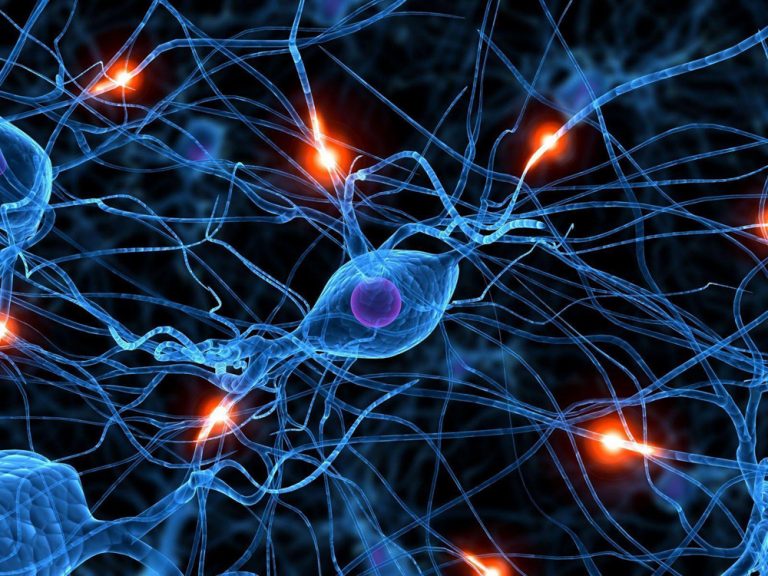 O Que São Os Neurônios Quais Suas Funções E Classificações 0435