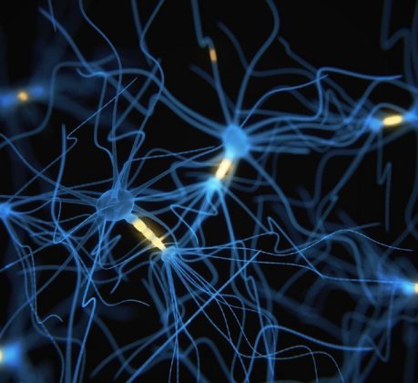 Neurônios